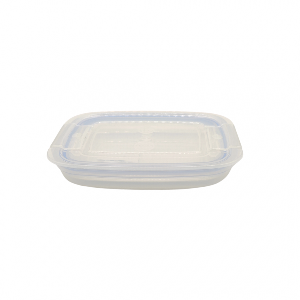 POTE HERMETICO 600 ML 21X15X3 CM